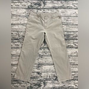 The North Face Tan Chinos